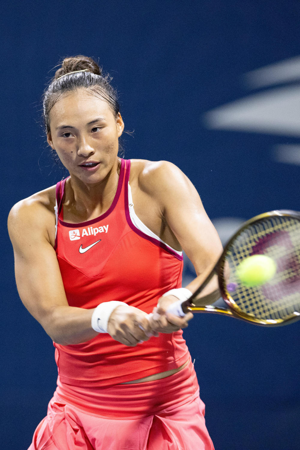 格纳布里的 格纳布里的